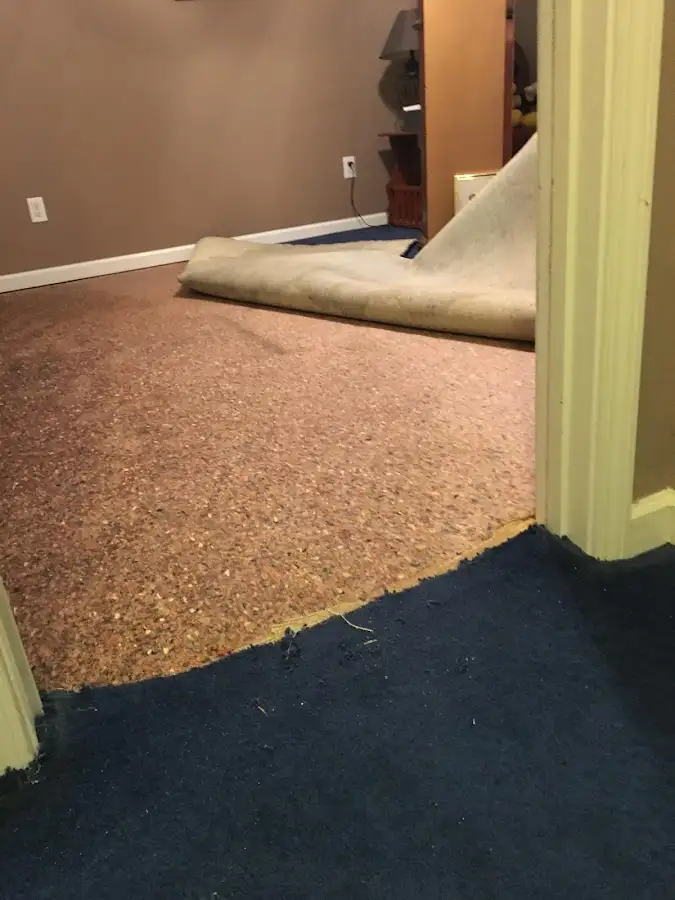 Carpet pad removal revealing water damage during Drying & Dehumidification in Mendota