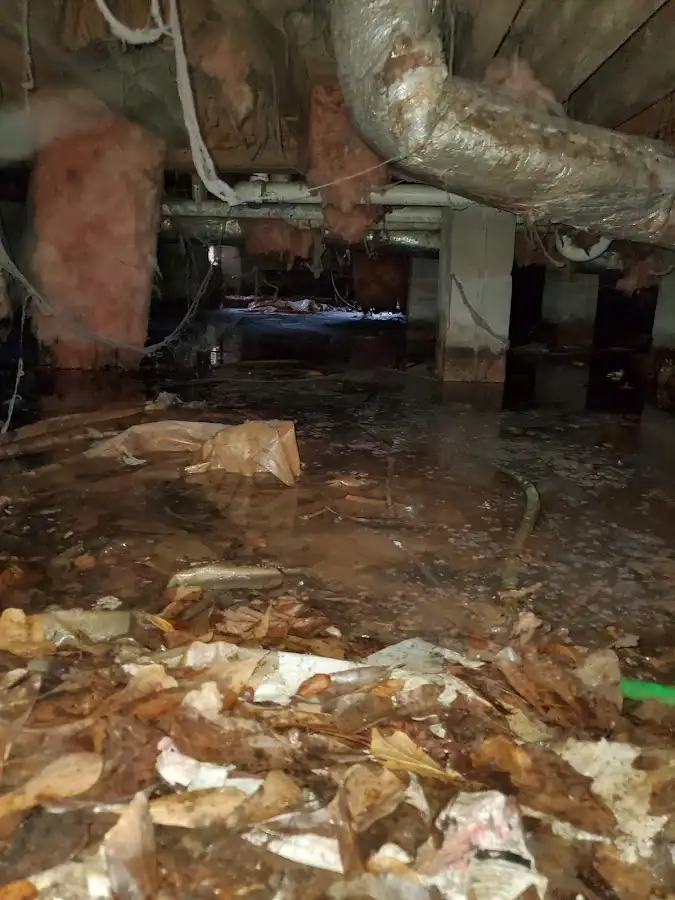Crawl space flood assessment for Commercial Water Damage Restoration in Mendota