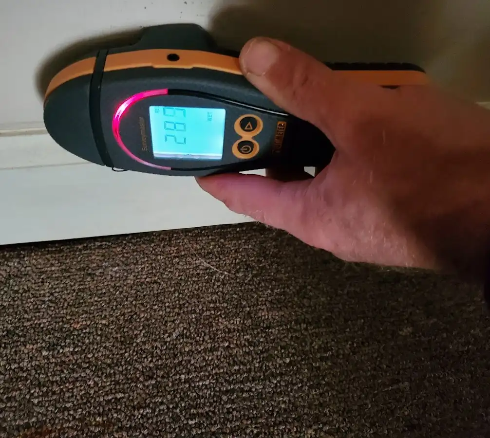 Moisture detection at baseboard during Mold Inspection & Testing in Mendota